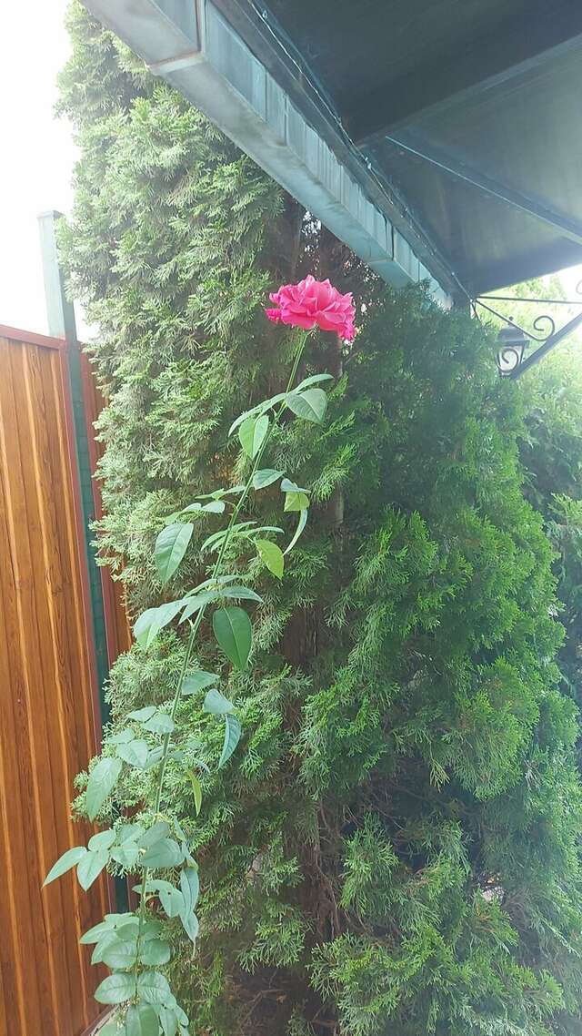 Гостиница Берегиня Джубга-136